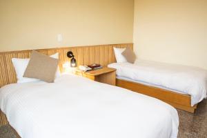 Postel nebo postele na pokoji v ubytování Holiday Hotel