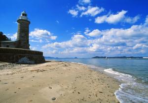 ชายหาดของโรงแรมหรือชายหาดที่อยู่ใกล้ ๆ