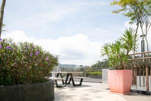 The Loft at Midhills Genting Highlands Free WiFi的阳台或露台