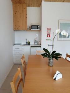 a kitchen with a wooden table with a plant on it at Sao Vicente Lodge - Atlantic Retreat in São Vicente Ferreira