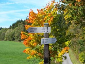 Fotografie z fotogalerie ubytování Landhotel Baumwipfel v destinaci Willingen