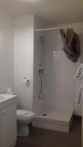 a bathroom with a toilet, shower, and sink at Résid'Artel Cadarache - ITER in Saint-Paul-lez-Durance