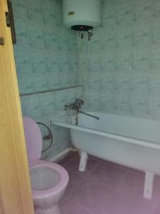 a bathroom with a toilet and a bath tub and a pink toilet at Ланжероновская угол Дерибасовская in Odesa