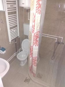 a bathroom with a toilet and a shower curtain at Apartments Vila Selena - Golija in Rudno