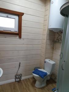 a bathroom with a toilet and a sink at Дворик Софии in Gribovka +5 photos