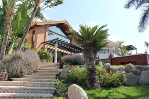 a house with a palm tree and stairs in front of it at Hotel Lindo Ajijic Bed & Breakfast in Ajijic