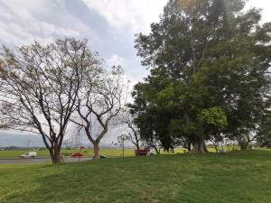 a park with trees and a car on a road at Toucan Hostel in Alajuela City