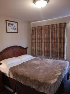 1 dormitorio con 1 cama y una ventana con cortinas en Ranchland Villa Motel, en Merritt