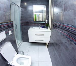 クラトビにあるModern Apartment Klatovyのバスルーム(トイレ、洗面台、鏡付)
