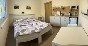 a small room with a bed and a kitchen at Apartmány Nad Parkem in Broumov