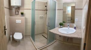 a bathroom with a shower and a sink and a toilet at Apartmány Nad Parkem in Broumov +7 photos