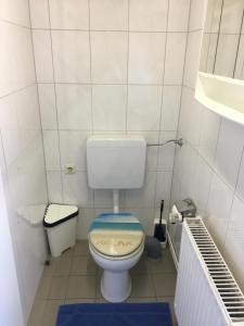 a small bathroom with a toilet with a blue seat at Ferienwohnung Marienhof OG in Seelbach +10 photos
