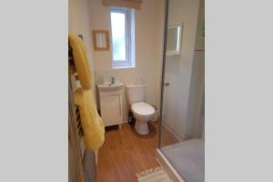 a bathroom with a toilet and a glass shower at Cosy, self contained annex in Cambridge