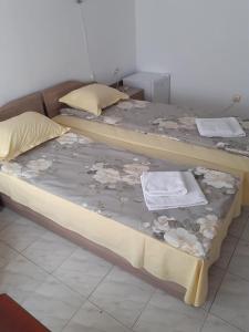 Gallery image of Hotel Montana in Montana