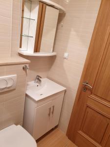 La salle de bains est pourvue d'un lavabo, de toilettes et d'un miroir. dans l'établissement Apartments Knezović, à Gradac