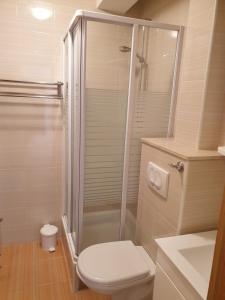 a white bathroom with a shower and a toilet at Apartments Knezović in Gradac