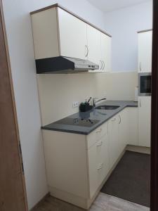 Kuchnia lub aneks kuchenny w obiekcie Apart Felsenhof