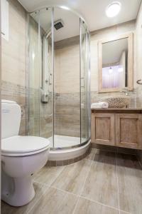 a bathroom with a toilet and a glass shower at Iliovasilema in Platy