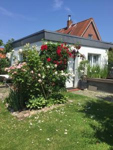 ノイシュタット・イン・ホルシュタインにあるHeld Urselの庭の花の茂みのある家