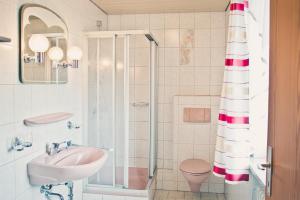 a bathroom with a sink and a toilet and a shower at Stan's Bed & Breakfast in Untergriesbach