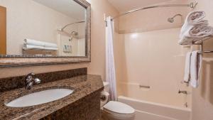 a bathroom with a sink and a toilet and a mirror at RiverTree Inn & Suites in Clarkston +26 photos