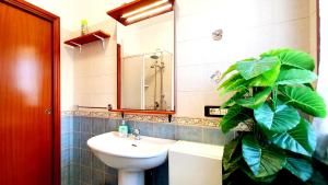 łazienka z umywalką, toaletą i rośliną w obiekcie Guest Holiday Filangieri 1 w mieście Reggio nell'Emilia