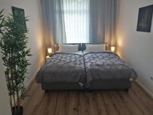 Kölsche Wohnung 2C في كولونيا: غرفة نوم بسرير ومخدتين ونافذة