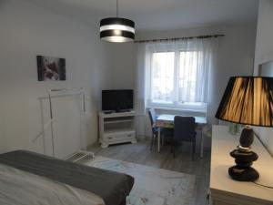 TV a/nebo společenská místnost v ubytování Apartmán Sluka