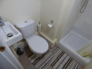 a small bathroom with a toilet and a sink at Birdholme House in Chesterfield