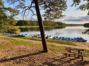 a park bench next to a tree and a lake with boats at EKO - Domek jezioro Steszewko in Stęszewko