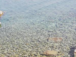 una grande quantità di rocce nell'acqua di Apartment Pepermint - near Ljubicic Tennis Academy a Veli Lošinj (Lussingrande)