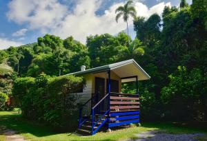 a wooden bench sitting in the middle of a lush green forest at Thornton Beach Bungalows Daintree in Cape Tribulation