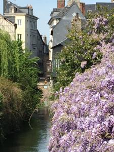 un fiume con fiori viola sul lato di CHAMBRE La Petite VENISE a Pont-Audemer