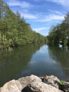 un fiume con rocce e alberi a lato di CHAMBRE La Petite VENISE a Pont-Audemer