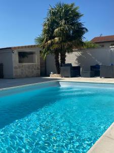 uma piscina azul com uma palmeira ao fundo em Maison entière 4 lits 8 pl avec jacuzzi proche du safari de Peaugres em Anneyron