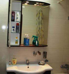 La salle de bains est pourvue d'un lavabo et d'un miroir. dans l'établissement Alba Iulia square Premium Studio 1, à Bucarest