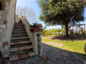 una rampa di scale che porta a una casa con un albero di Villa Enli a Capalbio