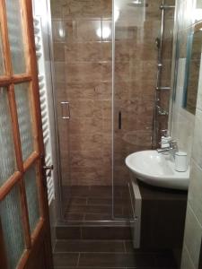 La salle de bains est pourvue d'une douche et d'un lavabo. dans l'établissement Studánecký Medvěd, à Liberec