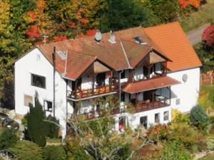 a large white house with a brown roof at Haus Katz in Schönau