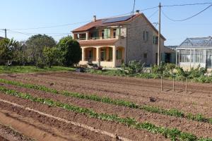 a house and a field of crops in front of a house at Gîte du Pagoulin - Chambres d'hôtes in Hyères