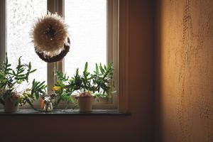 Fotografie z fotogalerie ubytování B&B La Passion Interdite v Ostende