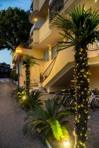 una palmera frente a un edificio con luces en Residence Queen, en Rímini