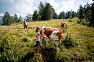 Fotografie z fotogalerie ubytování Panorama Apartment Bauernhof Mandl v destinaci Murau