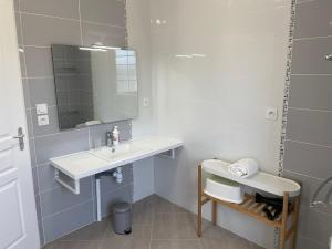 La salle de bains est pourvue d'un lavabo et d'un miroir. dans l'établissement Gîte Hibiscus, à Seigy