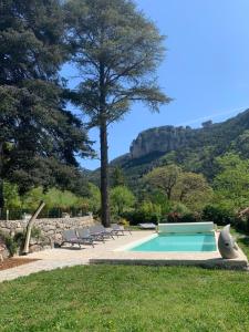 a swimming pool with a shark statue in the grass at Villa La Muse in Mostuéjouls