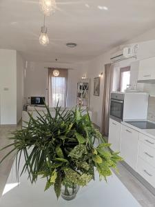 Fotografie z fotogalerie ubytování Apartment Jujube-IQM Destination Quality v destinaci Mali Lošinj