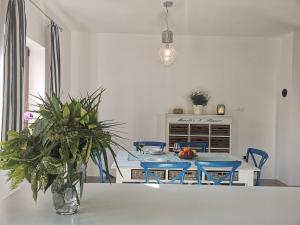 Fotografie z fotogalerie ubytování Apartment Jujube-IQM Destination Quality v destinaci Mali Lošinj