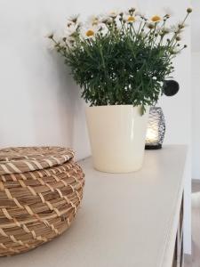 Fotografie z fotogalerie ubytování Apartment Jujube-IQM Destination Quality v destinaci Mali Lošinj