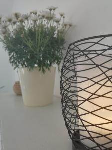 Fotografie z fotogalerie ubytování Apartment Jujube-IQM Destination Quality v destinaci Mali Lošinj