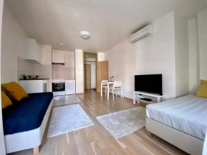 TV a/nebo společenská místnost v ubytování Tamiš Kapija Apartment